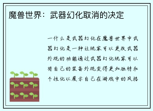 魔兽世界：武器幻化取消的决定